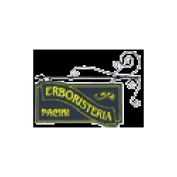 Logo di ERBORISTERIA PACINI