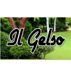 Logo di IL GELSO