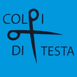Logo di PARRUCCHIERE COLPI DI TESTA