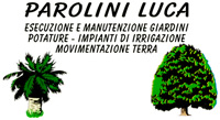 Logo di PAROLINI LUCA