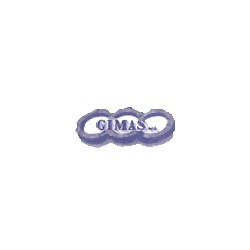 Logo di GIMAS
