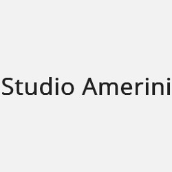 Logo di STUDIO AMERINI