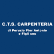 Logo di C.T.S. CARPENTERIA