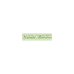 Logo di AUTOGRU NATALE ANTONIO