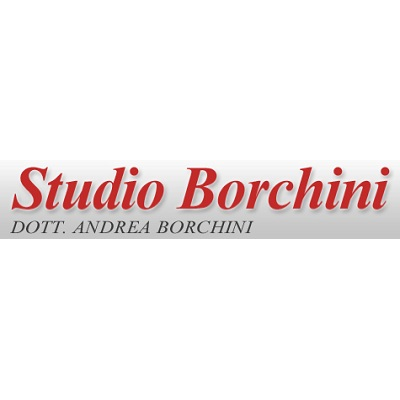 Logo di STUDIO BORCHINI