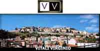 Logo di VITALI VIRGINIO