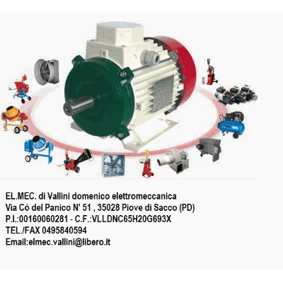 Logo di ELETTOMECCANICA EL. MEC. DI VALLINI DOMENICO