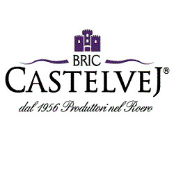 Logo di AZIENDA AGRICOLA BRIC CASTELVEJ