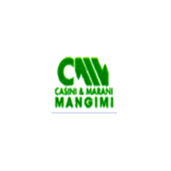 Logo di CASINI E MARANI