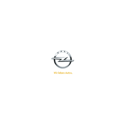 Logo di MUSTANG SRL - ASSISTENZA AUTORIZZATA OPEL