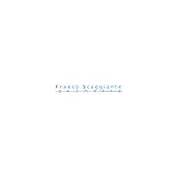 Logo di FRANCO SCAGGIANTE GEOMETRA