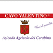 Logo di CAVO VALENTINO AZIENDA AGRICOLA DEL CERABINO