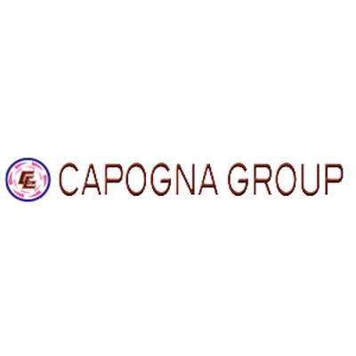 Logo di CAPOGNA GROUP S.R.L.