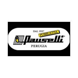 Logo di PUBBLICITÀ PAUSELLI