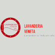Logo di LAVANDERIA VENETA S.R.L.