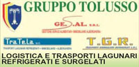 Logo di GRUPPO TOLUSSO
