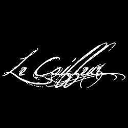 Logo di LE COIFFEUR