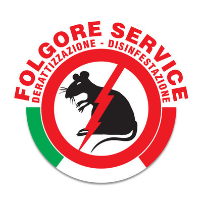 Logo di FOLGORE SERVICE