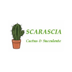 Logo di SCARASCIA CACTUS E SUCCULENTE
