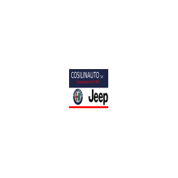 Logo di COSILINAUTO S.R.L.