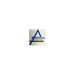Logo di PROFESSIONAL AUTO S.R.L.