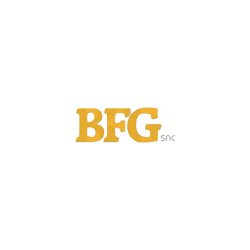 Logo di BFG ASFALTI