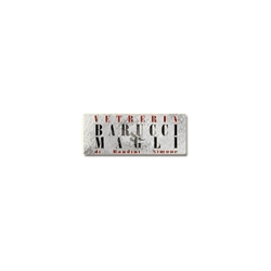 Logo di VETRERIA BARUCCI E MAGLI