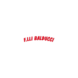 Logo di F.LLI BALDUCCI