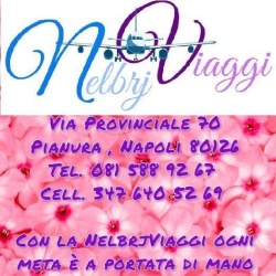 Logo di NELBRJ VIAGGI