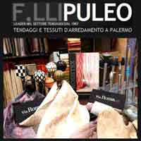 Logo di PULEO F.LLI