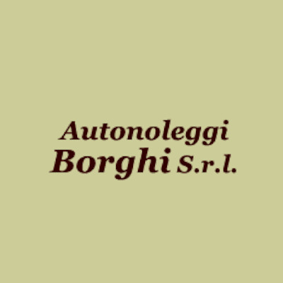 Logo di AUTONOLEGGI BORGHI