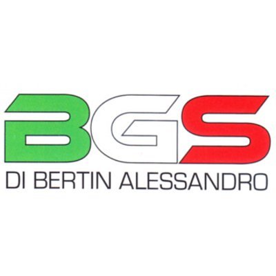 Logo di BGS DI BERTIN ALESSANDRO