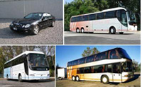 Logo di BONELLI BUS