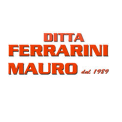 Logo di FERRARINI MAURO ASSISTENZA CALDAIE
