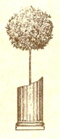 Logo di SABBATINI FALEGNAMERIA SERRAMENTI E INFISSI