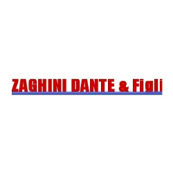 Logo di ZAGHINI DANTE & FIGLI DI ZAGHINI FABIO & C. SNC - FAAC