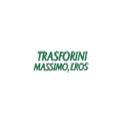 Logo di TRASFORINI MASSIMO E EROS