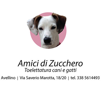 Logo di AMICI DI ZUCCHERO