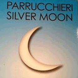 Logo di PARRUCCHIERI SILVER MOON