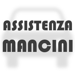 Logo di ASSISTENZA MANCINI