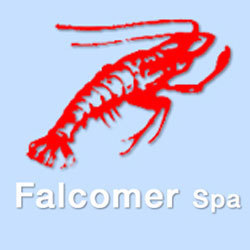 Logo di FALCOMER SPA