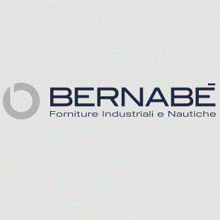 Logo di BERNABE' GROUP