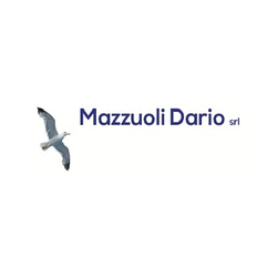 Logo di MAZZUOLI DARIO