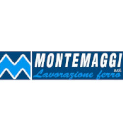 Logo di MONTEMAGGI FABBRI