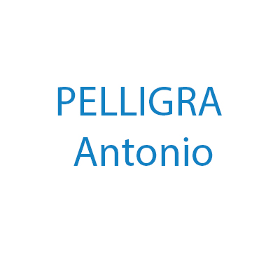 Logo di PELLIGRA