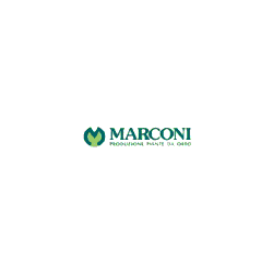 Logo di MARCONI VIVAI SOCIETA' AGRICOLA S.S.