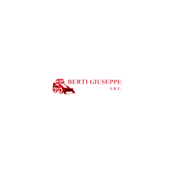 Logo di BERTI GIUSEPPE COSTRUZIONI EDILI STRADALI