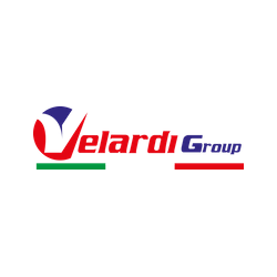 Logo di VELARDI GROUP