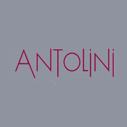 Logo di ANTOLINI STONE ITALY