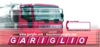 Logo di GARIGLIO DARIO